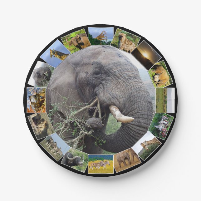 Assiettes En Carton African Wildlife Photo Collage Elephant Bull (Devant)