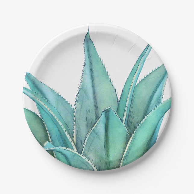 Assiettes En Carton Agave (Devant)