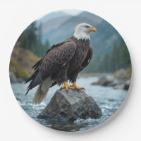 Aigle de Bald sur un rocher