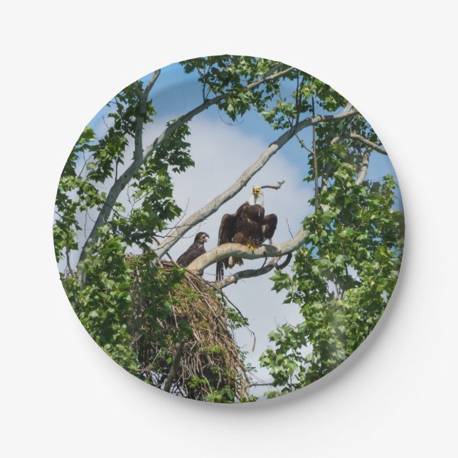 Assiettes En Carton Aigles chauds (Devant)