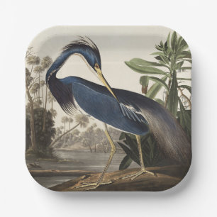 Assiettes En Carton Aigrette de Louisiane, oiseau, Art vintage d'Audub