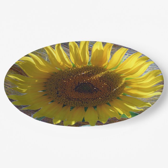 Assiettes En Carton Aimer Plate de papier tournesol (Angle)