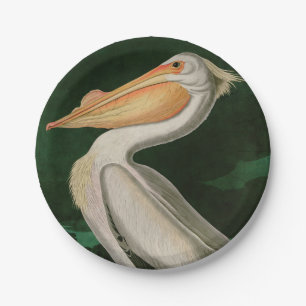Assiettes En Carton American White Pelican Birds of America Audubon