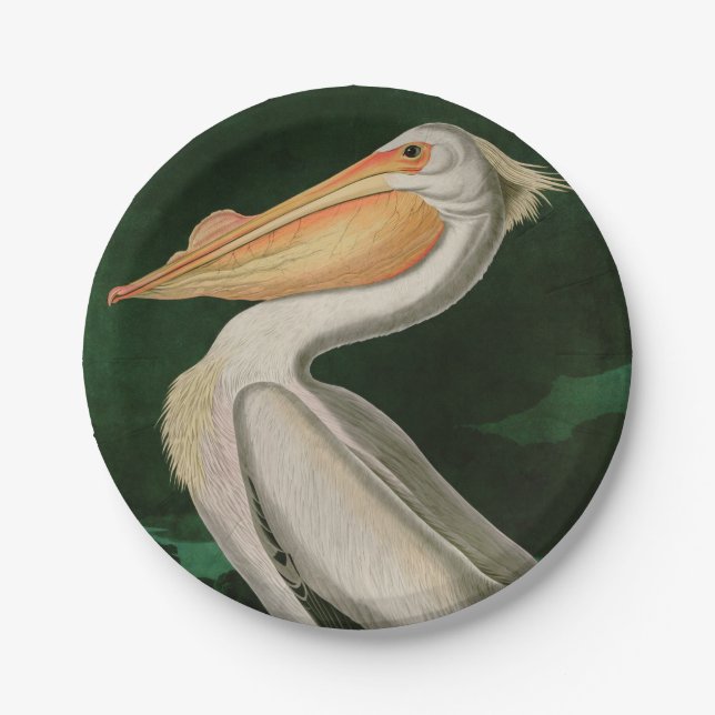 Assiettes En Carton American White Pelican Birds of America Audubon (Devant)