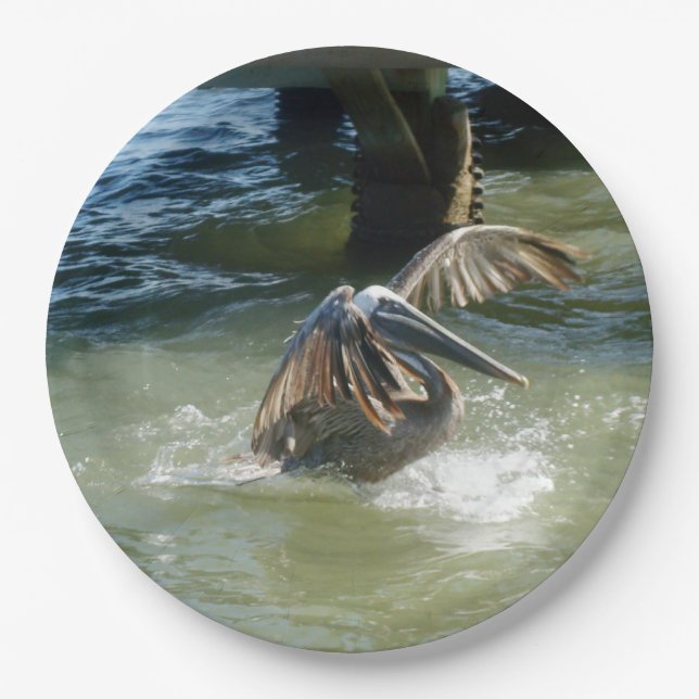 Assiettes En Carton Amerrissage (Devant)