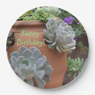 Assiettes En Carton Amusement D'Anniversaire Avec Succulents