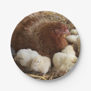 Assiettes En Carton animal, poulet, ferme, mignonette, oiseau, bébé,