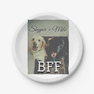Assiettes En Carton Animaux de compagnie amis besties ajouter nom anim