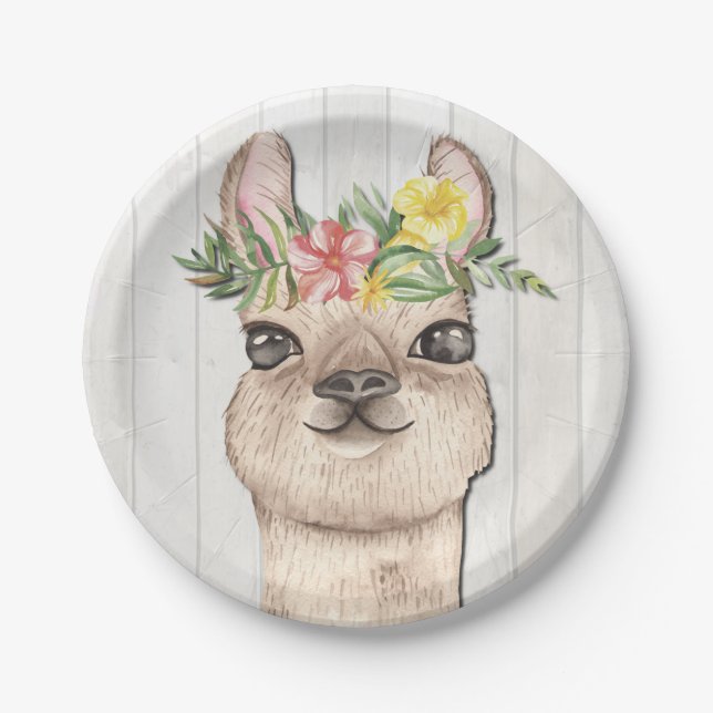ASSIETTES EN CARTON ANIMAUX DE FÊTE (Devant)