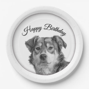 Assiettes En Carton Anniversaire de Canine de Race Mixte Monochrome Ra