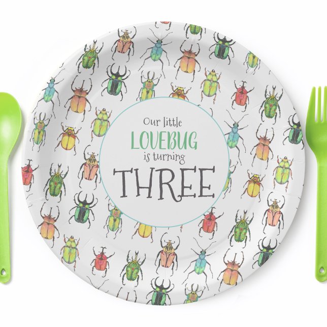 Assiettes En Carton Anniversaire de enfant Love Bugs Beetles (Personalized Love Bug Party Plates)