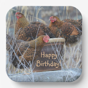 Assiettes En Carton Anniversaire de poulets soyeux