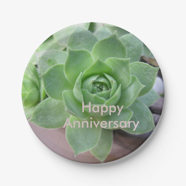 Assiettes En Carton Anniversaire Plaque de papier succulent (Devant)