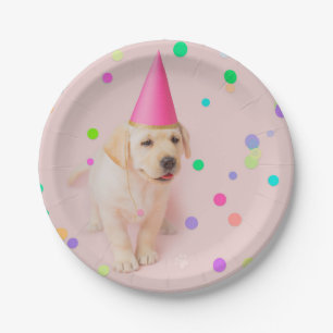Assiettes En Carton Anniversaire rose de chiot du Little Paws Yellow L