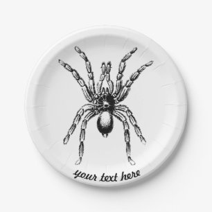 Assiettes En Carton araignée tarantule