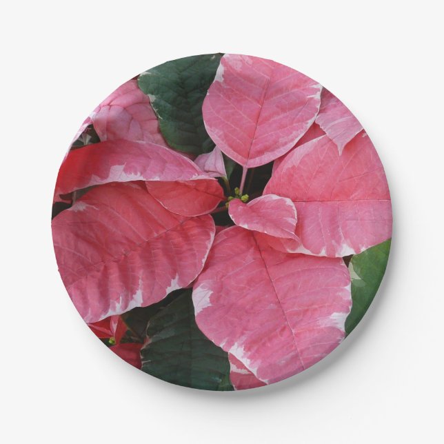 Assiettes En Carton Argent Star Marbre Poinsettias Pink Holiday Floral (Devant)