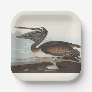 Assiettes En Carton Art Vintage Audubon Pélican Brun Oiseau de la Côte
