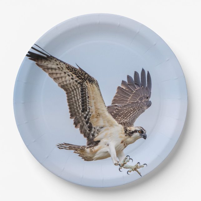 Assiettes En Carton Atterrissage d'Osprey dans le nid (Devant)