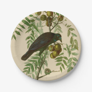 Assiettes En Carton Audubon American Crow Black Bird