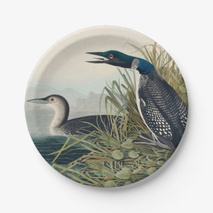 Assiettes En Carton Audubon Bird Loon Diver Classic