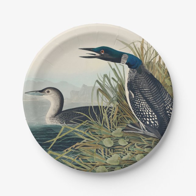 Assiettes En Carton Audubon Bird Loon Diver Classic (Devant)