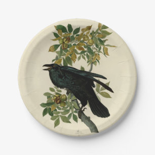 Assiettes En Carton Audubon Raven Oiseau classique