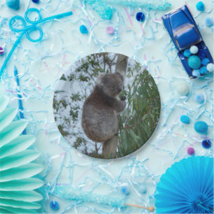 Assiettes En Carton Australie Kangaroo Island Cute Koala dans un arbre