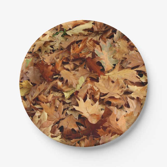 Assiettes En Carton automne, feuille sec (Devant)