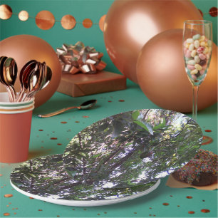 Assiettes En Carton Avocatier