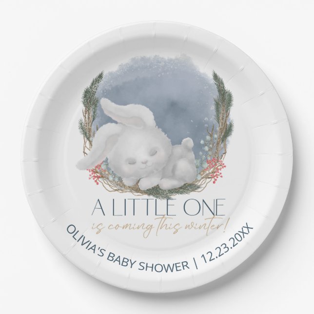 Assiettes En Carton Baby shower d'hiver moelleux Bunny (Devant)