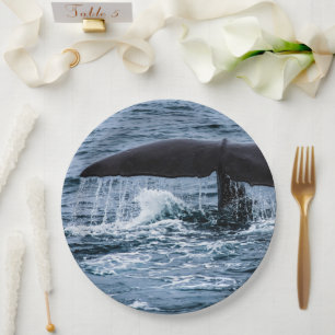 Assiettes En Carton Baleine de Sperm