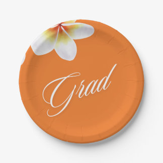 Assiettes En Carton ballon du grand parti