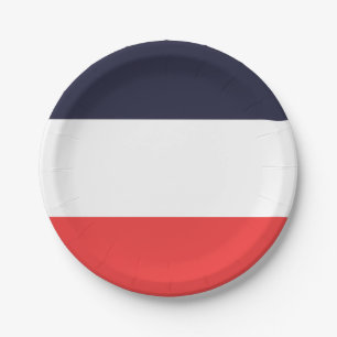 Assiettes En Carton Bandes Fête Rayées Bleu Blanc & Rouge