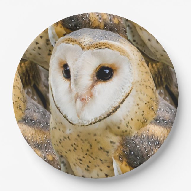 Assiettes En Carton Barn Owl (Devant)