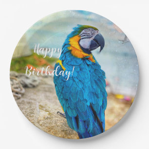 Assiettes En Carton Beau Parrot Macaw