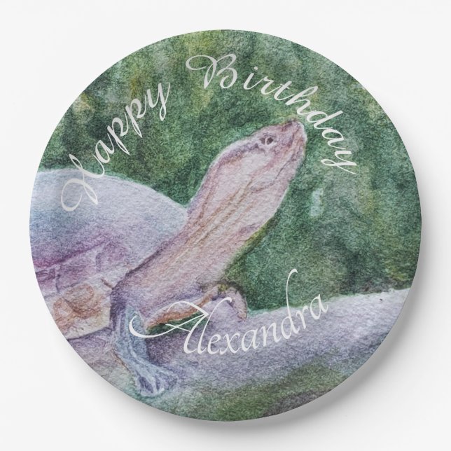 Assiettes En Carton Bébé Tortue Joyeux anniversaire (Devant)