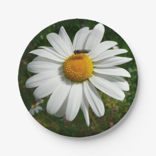 Assiettes En Carton Bee on Daisy Alaskan Summer Nature