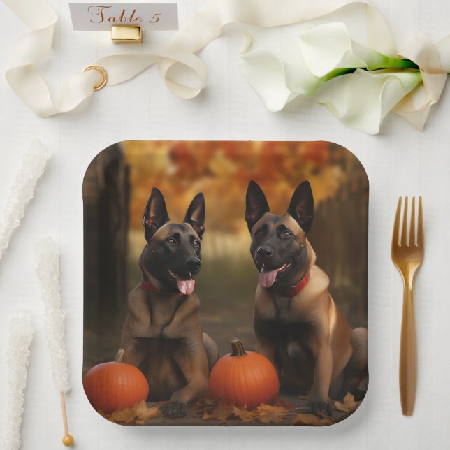 Assiettes En Carton Belge Malinoi Puppy Automne Citrouille de plaisir (Mariage)