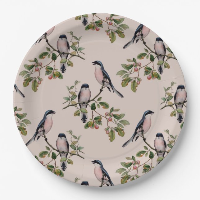 Assiettes En Carton Belle copie vintage d'oiseaux (Devant)