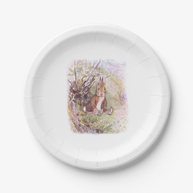 Assiettes En Carton Benjamin Bunny (par Beatrix Potter) (Devant)
