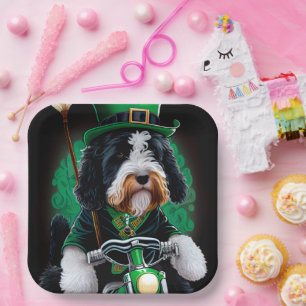Assiettes En Carton Bernedoodle Chien conduisant vélo St. Patrick's Da
