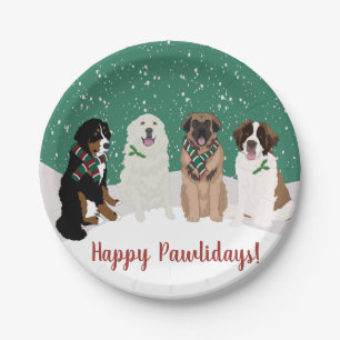 Assiettes En Carton Bernese Leonberger Pyrénées St Bernard Noël
