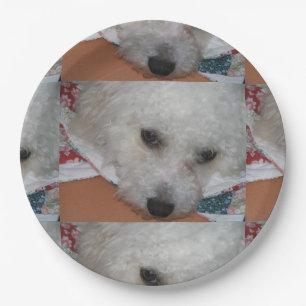 Assiettes En Carton Bichon Frisé.png