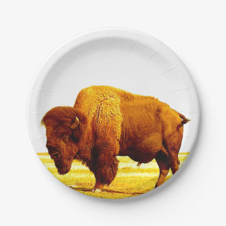 Assiettes En Carton Bison / Buffle