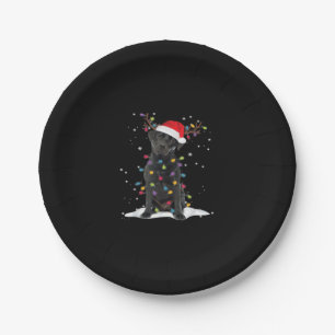 Assiettes En Carton Black Labrador Xmas Dog Christmas Tree Light Class
