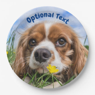 Assiettes En Carton Blenheim Cavalier King Charles Spaniel Chien Chien