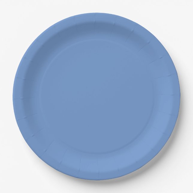 Assiettes En Carton Bleu  (Devant)