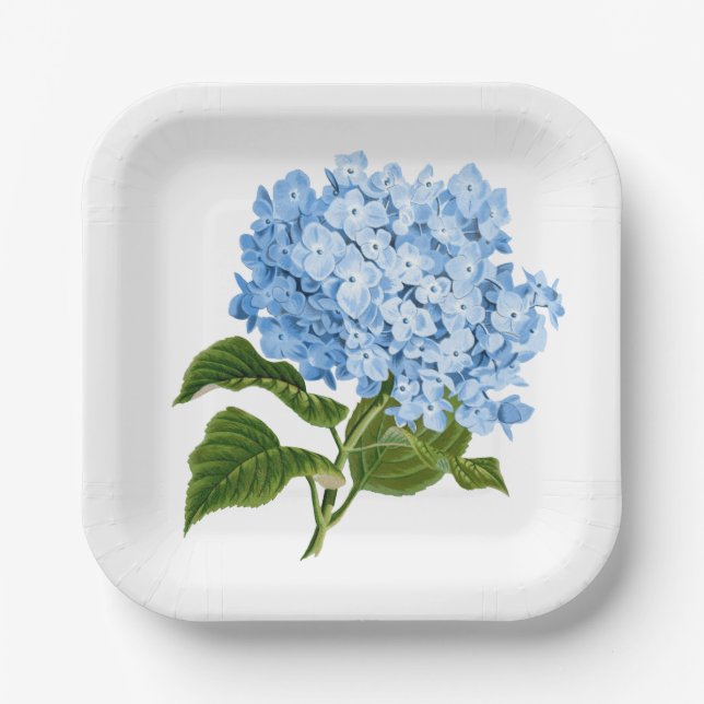 Assiettes En Carton Bleu antique Hydrangea Blossom (Recto)