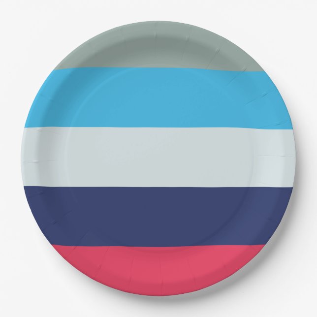 Assiettes En Carton Bleu Et Bourgogne (Devant)