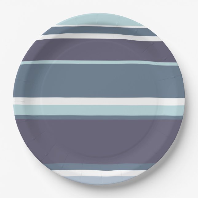 Assiettes En Carton Bleu-gris (Devant)